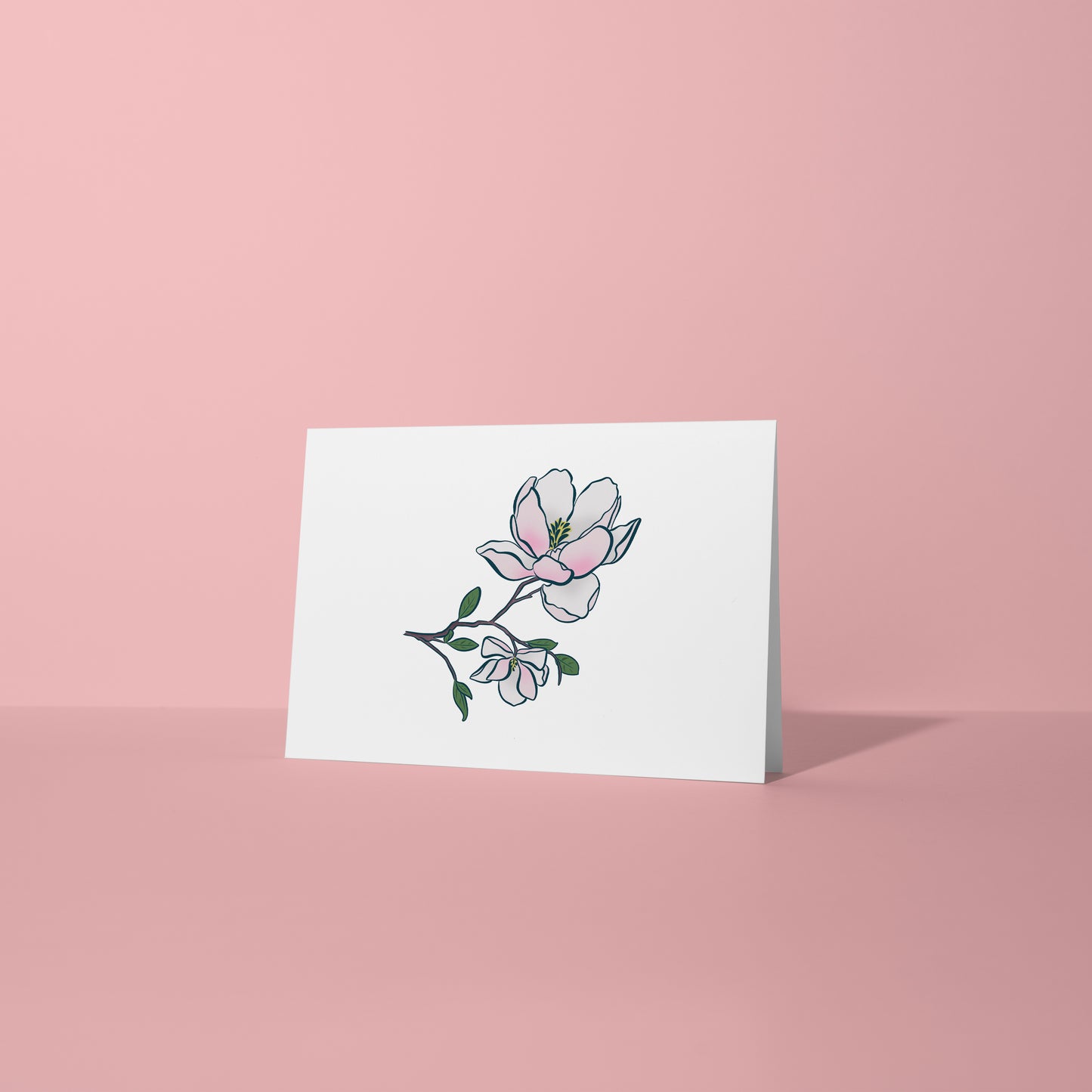C-01 Magnolia